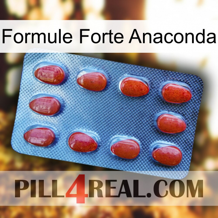 Anaconda Strong Formula 06